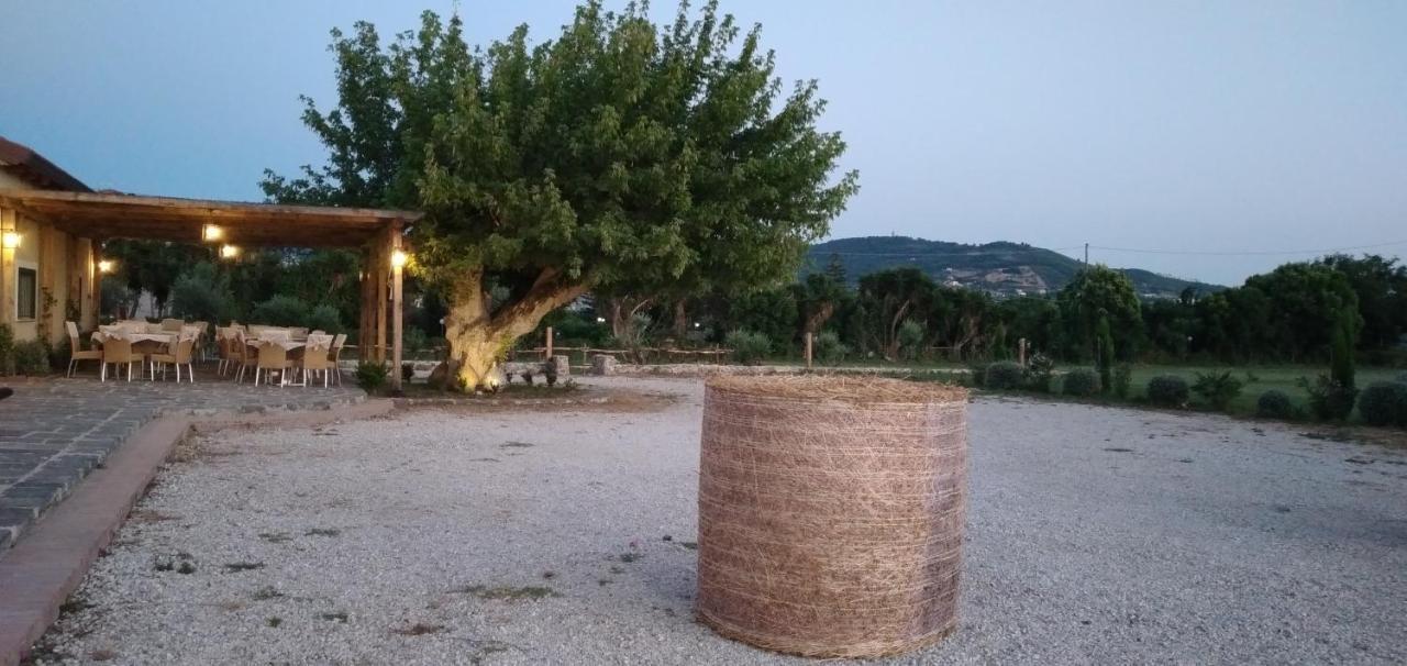 B&B Tenuta San Michele Capaccio Eksteriør bilde