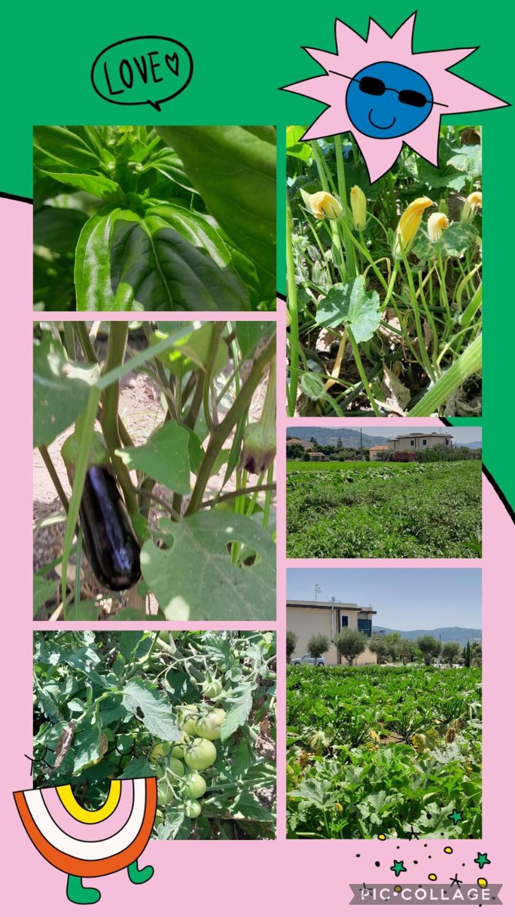 B&B Tenuta San Michele Capaccio Eksteriør bilde